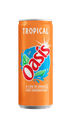 OASIS Tropical -24x0,33L