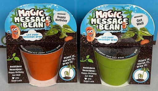 [TOY-K34671] TOY - Magic Message Bean -12st
